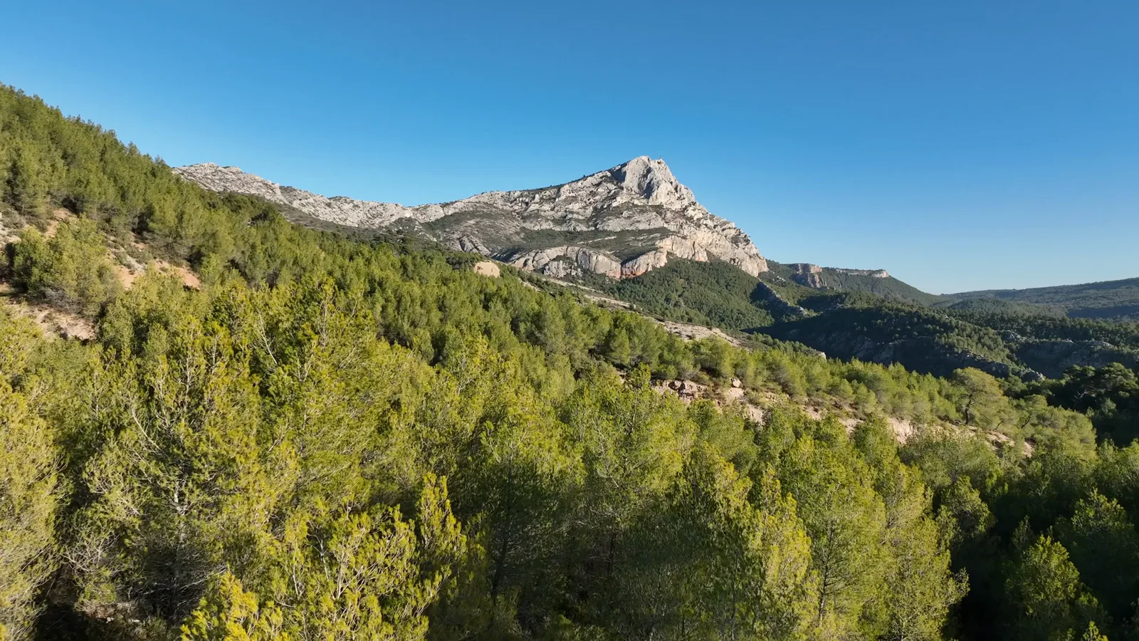Vue aérienne de la Montagne Sainte-Victoire et des pinèdes de la région Sud Provence-Alpes-Côte-d’Azur — formule Liberté NOMAD